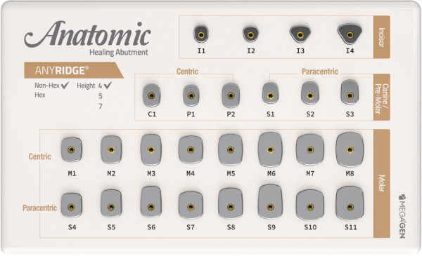 Anatomic Healing abutment case