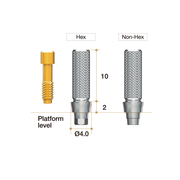 Temporary abutment (AR)
