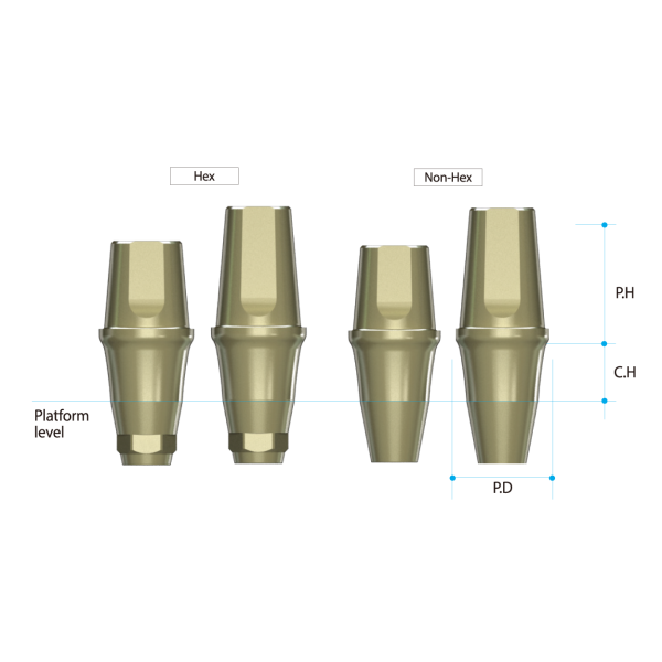 EZ Post abutment(AR)