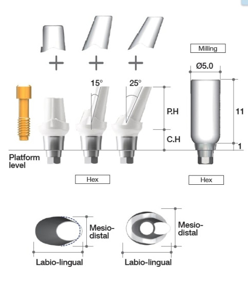 Fuse abutment(AR)
