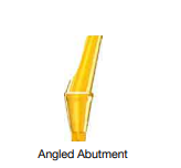Angled abutment (MN)